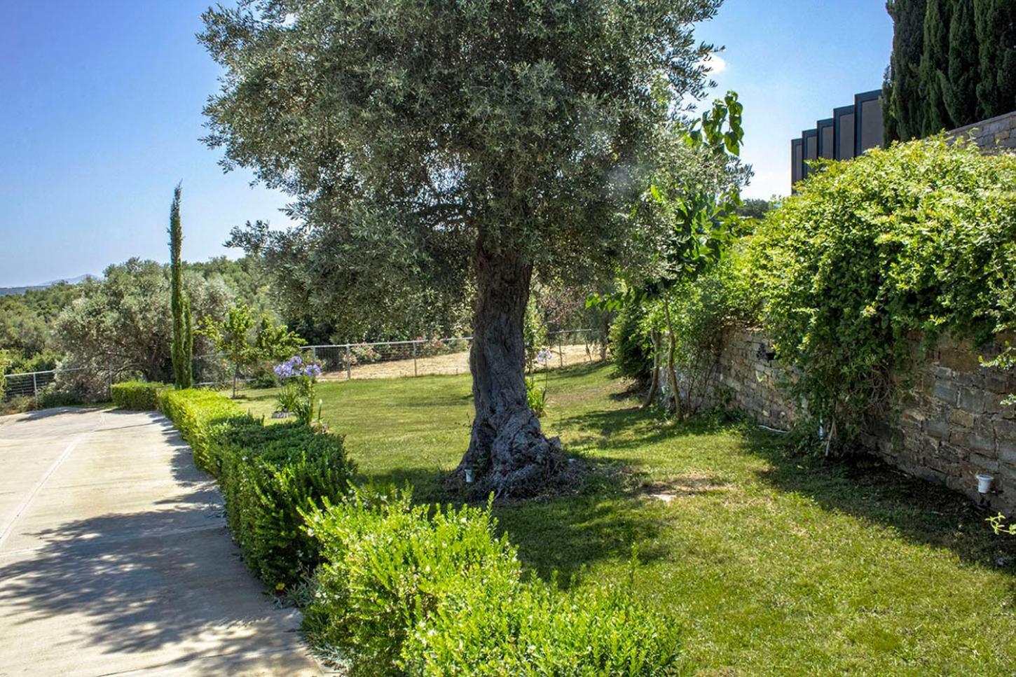 Arion Krini Villa Amnátos Exterior photo