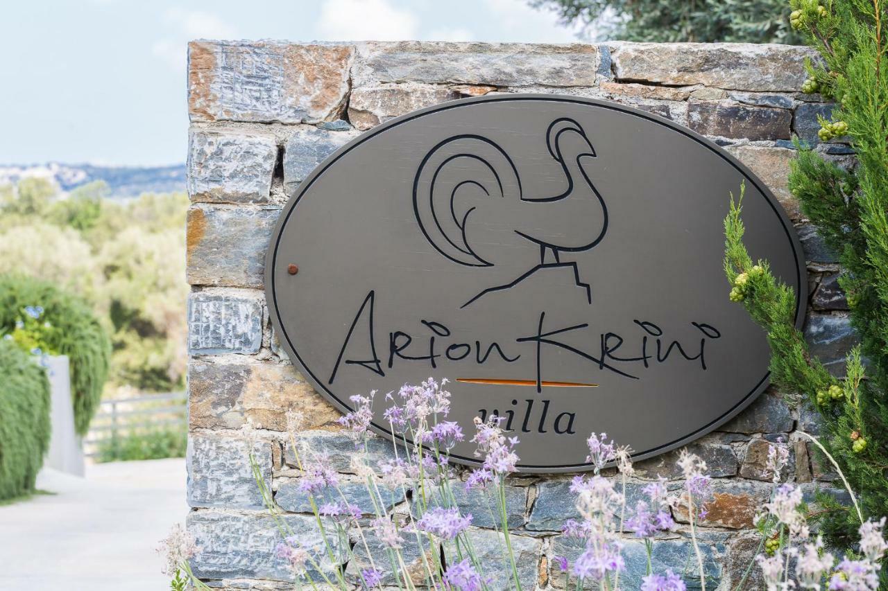 Arion Krini Villa Amnátos Exterior photo