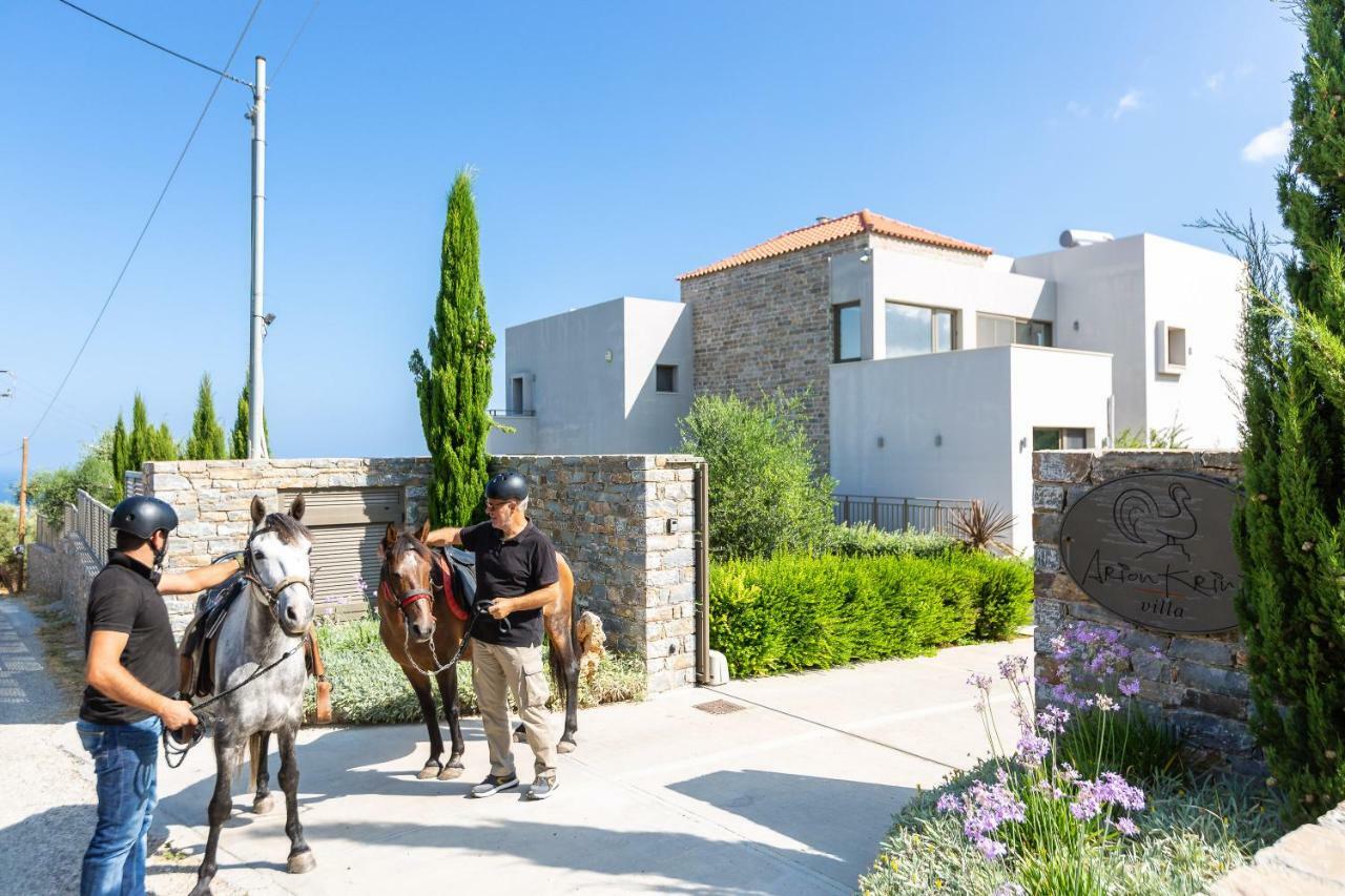 Arion Krini Villa Amnátos Exterior photo